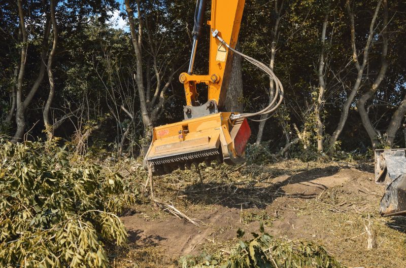Tree and Brush Removal Equipment