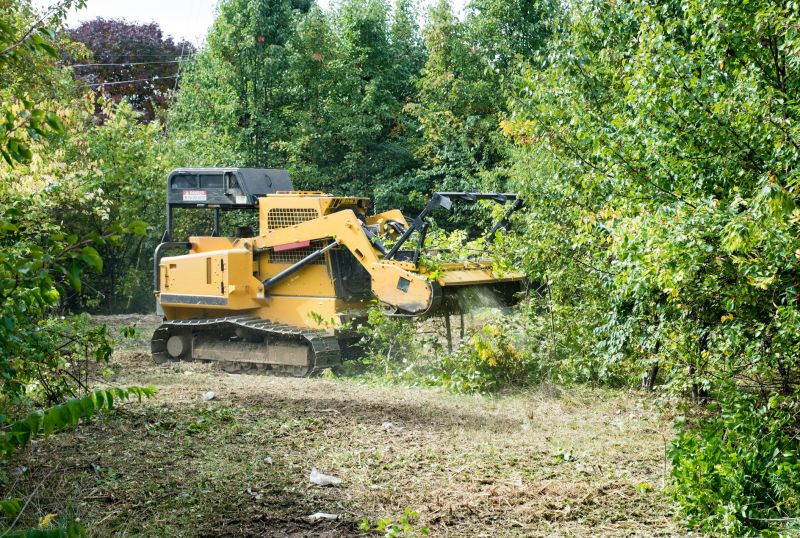 Custom Land Clearing Solutions