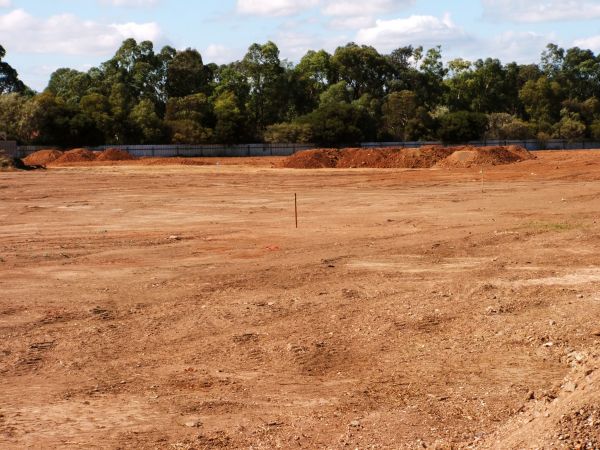 Field Clearing in Aiken
