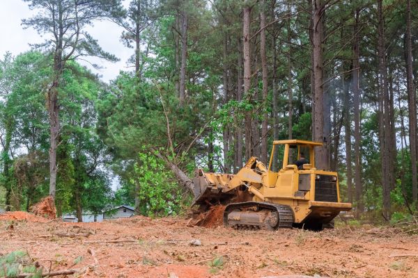 Property Clearing in Aiken