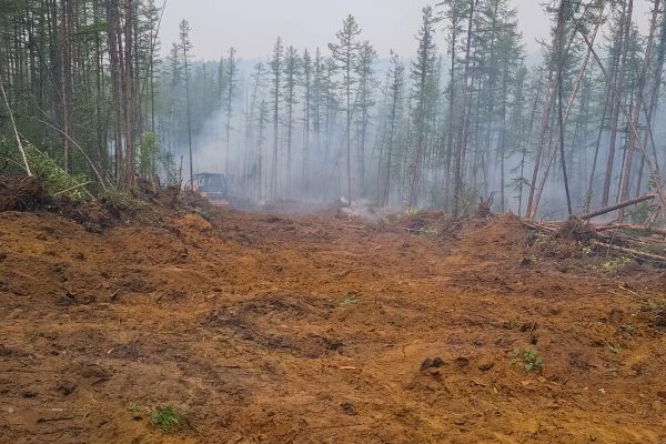 Cost of Hill Clearing in Aiken