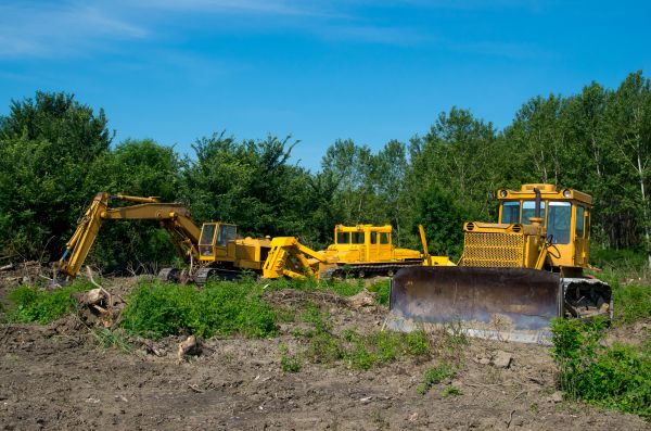 Bulldozer Clearing in Aiken